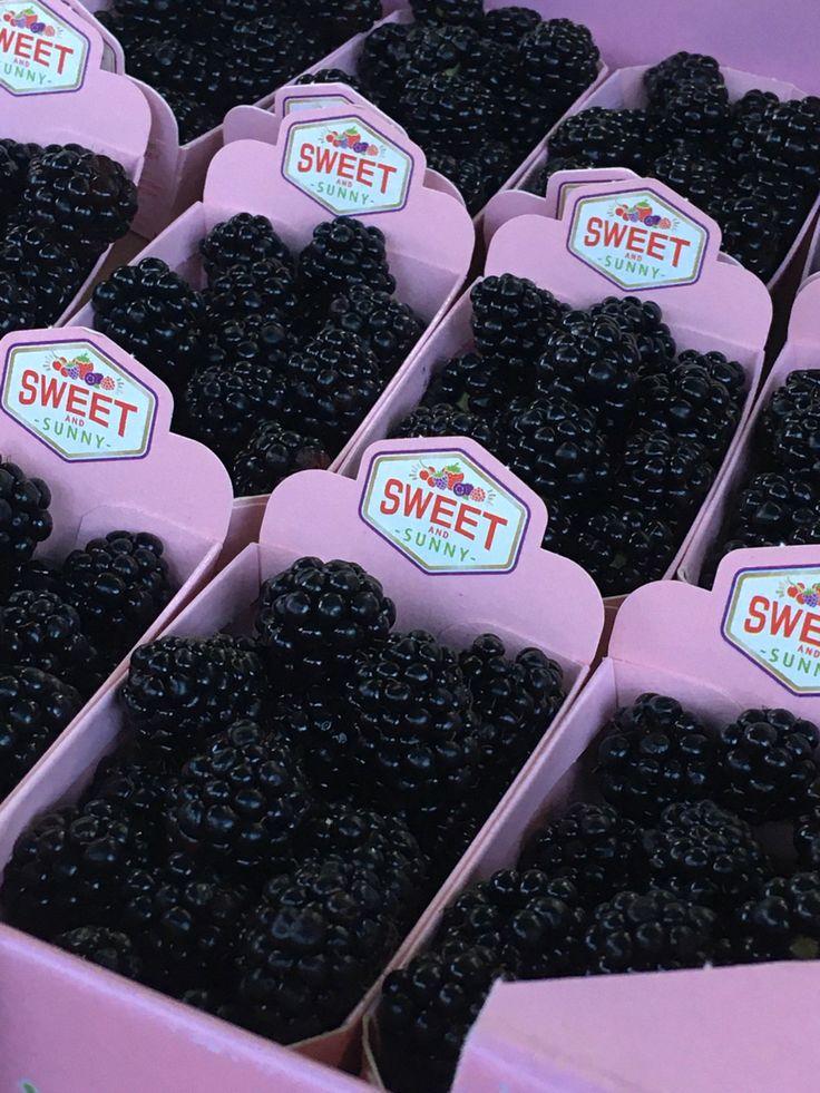 Berry Harvest: Rustic Farmstead Nature's Gems